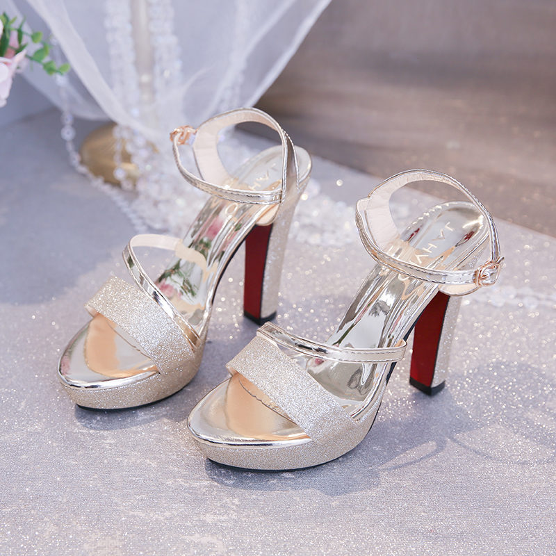 YLX2 TW9B8015 Melissa Platform Sandals For Women With Heels Silver 4inch Korean Style Elegant Pageant Heels - jahvio