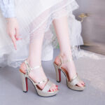 Melissa Platform Sandals For Women With Heels Silver 4inch Korean Style Elegant Pageant Heels - view 24 | JAHVIO