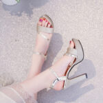 Melissa Platform Sandals For Women With Heels Silver 4inch Korean Style Elegant Pageant Heels - view 26 | JAHVIO